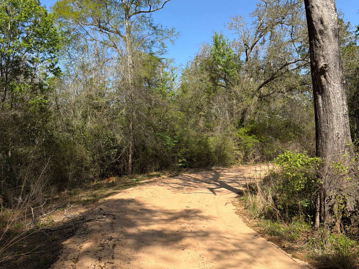 Penny Creek Road trail photo
