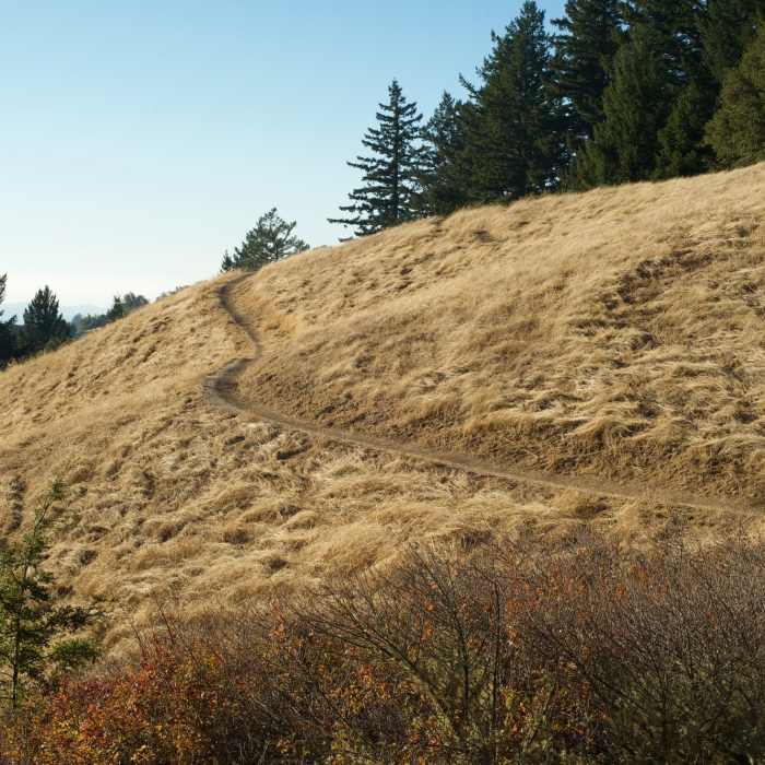 Near Achistaca Trail
