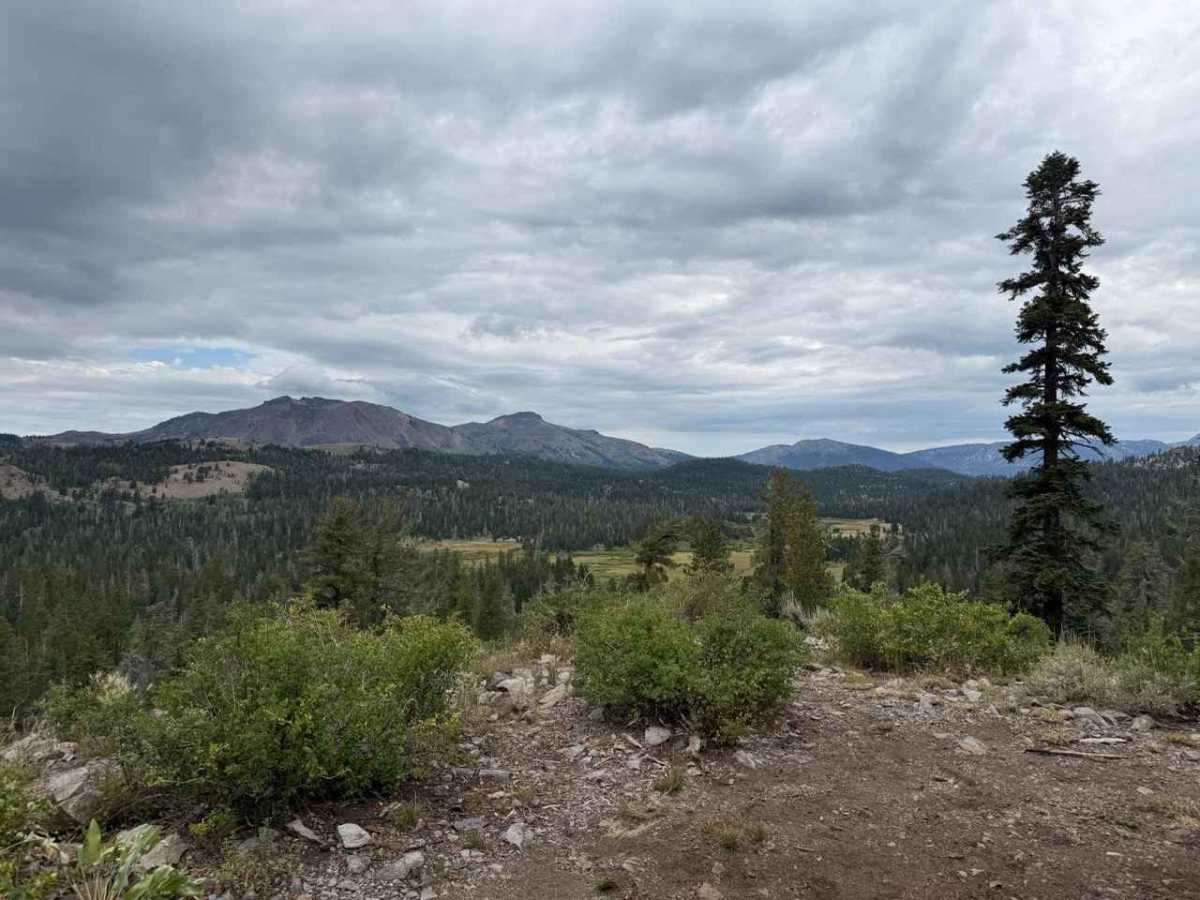 Lower Charity Road - FS 31206 trail photo