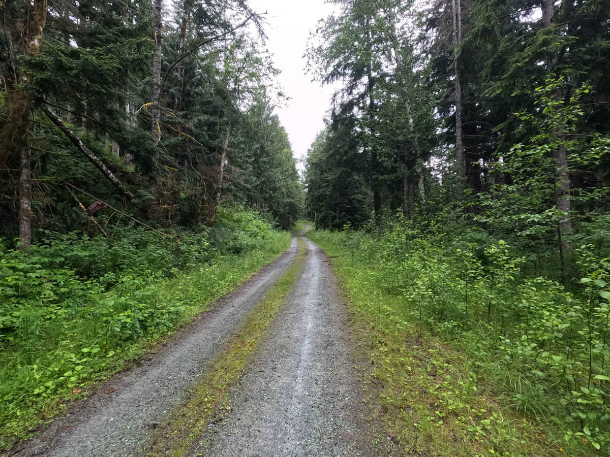 Finney Pit - FS 1740 trail photo