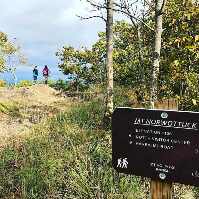 Near MA New England Trail/Metacomet-Monadnock Trail: Section 8
