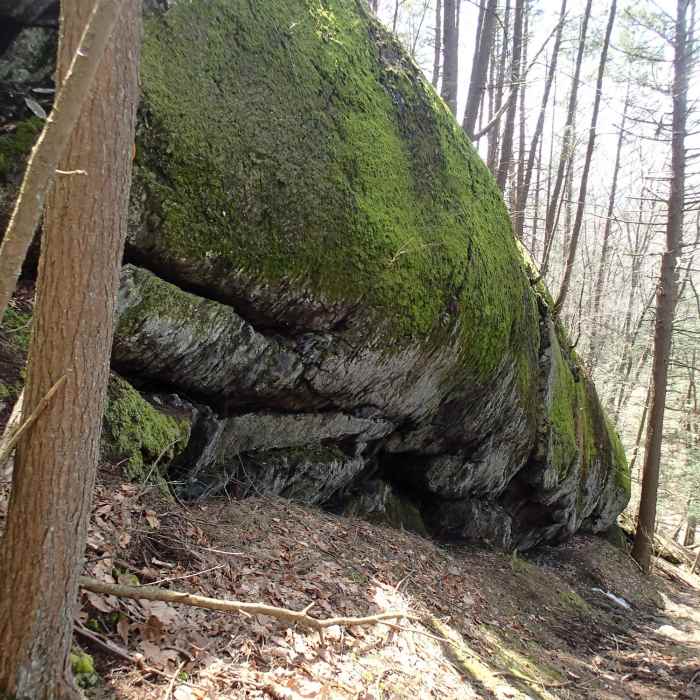 The steepest section of the Minisink Trail Near Lenape Ridge Loop