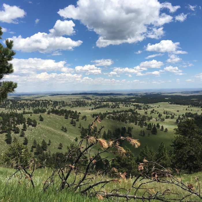 Near Rankin Ridge Trail