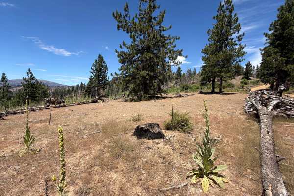 Ball Rock Summit - FS 25N66