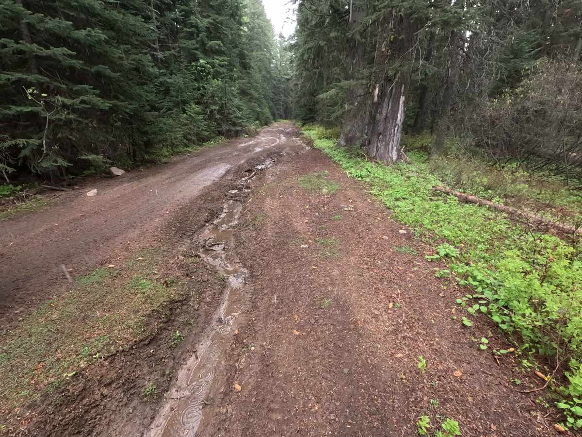 Mount Emily Road - FS 3120520 photo 5