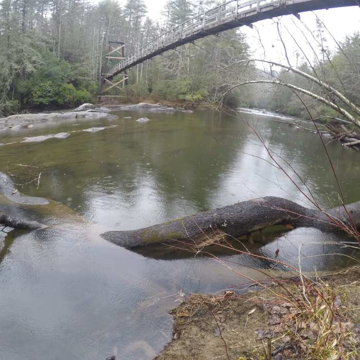 Toccoa Hanging Bridge aids your passage over the Toccoa River. Near Toccoa River Road FS 333