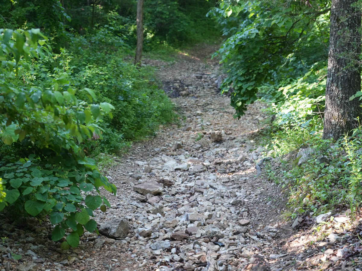 Schneider Hollow trail photo