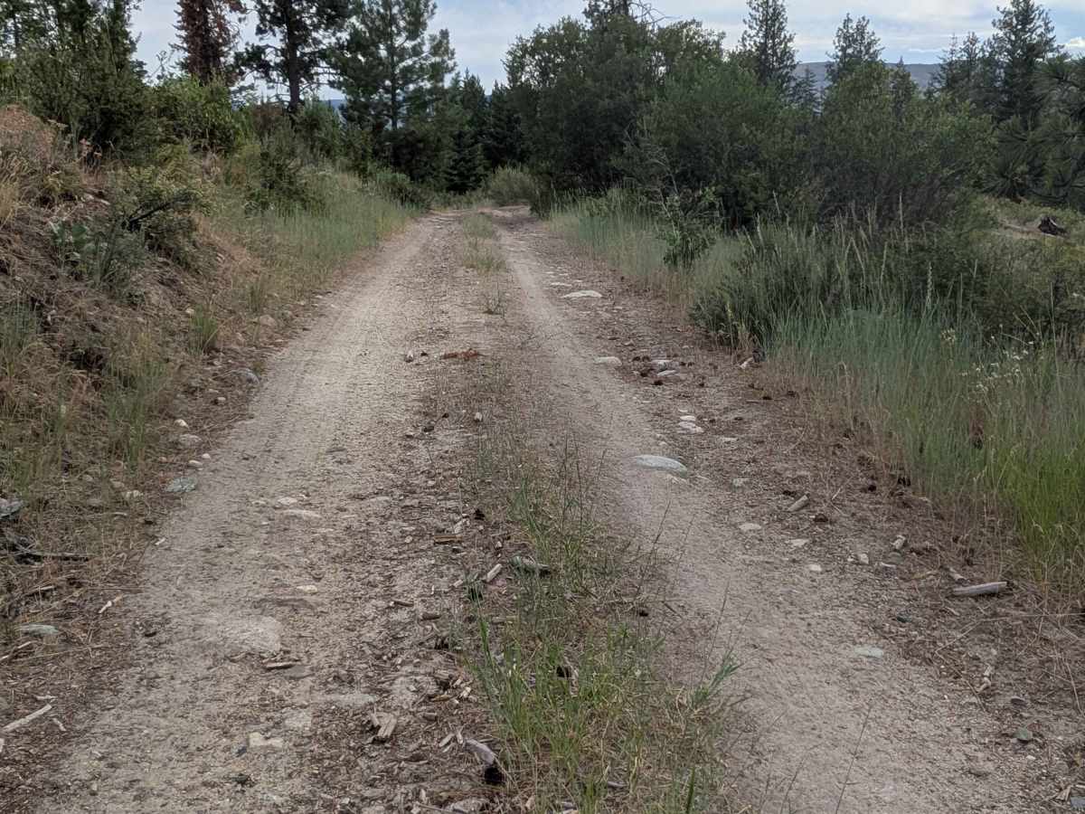South Cook Mountain photo 5