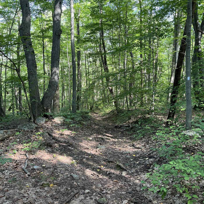 Near Waving Willie Loop Near Waving Willie Loop