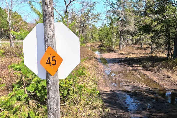 Charcoal Grade Trail - Trail 45
