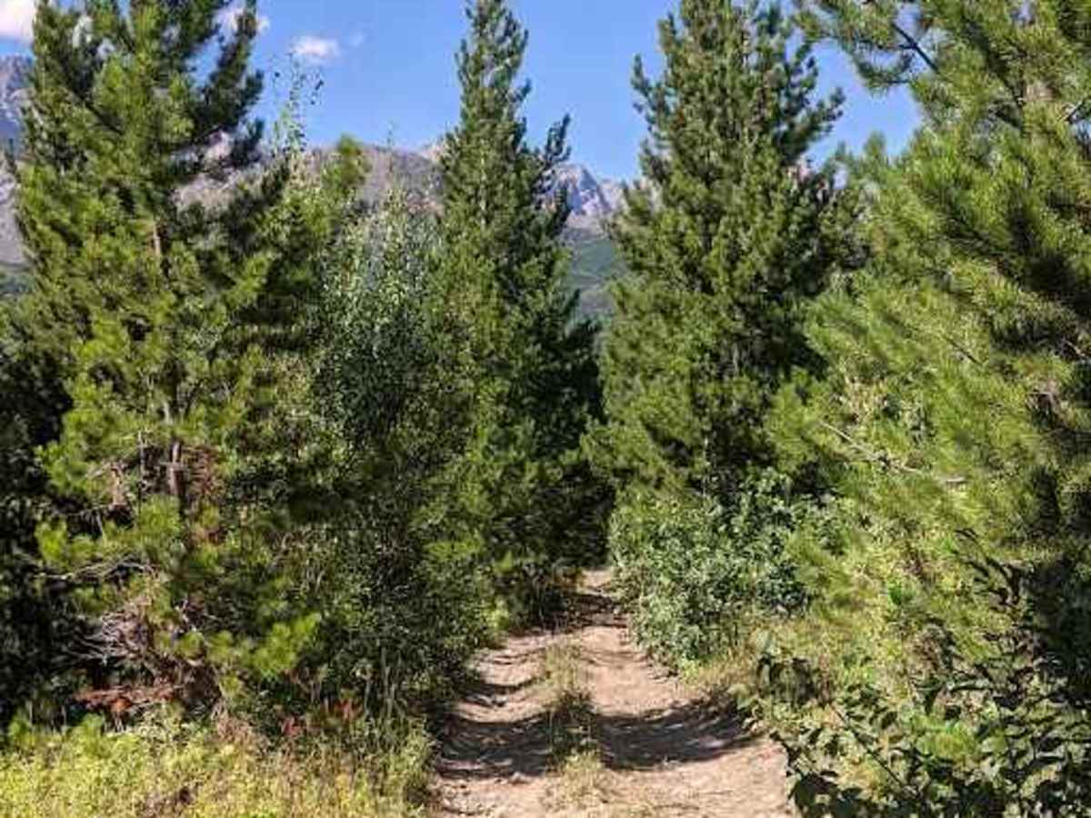 Goat Creek Loop  photo 5