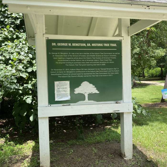Near Town Creek Park East Entrance Trail