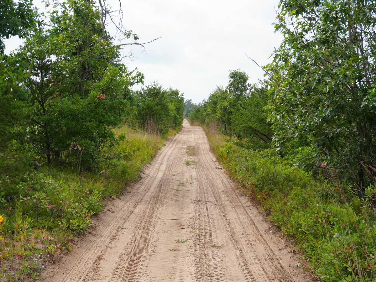 North Twin Tomahawk Trail photo 4