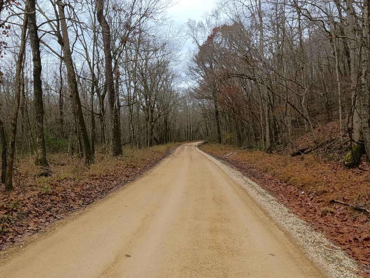 Leopold Road - BCR 402 photo 4