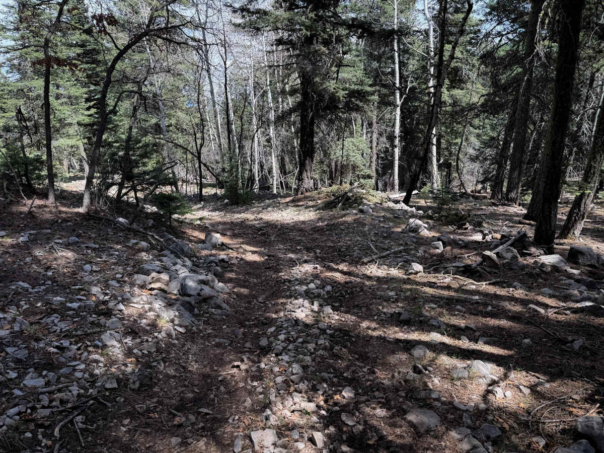 Zinker Canyon Trail  photo 3