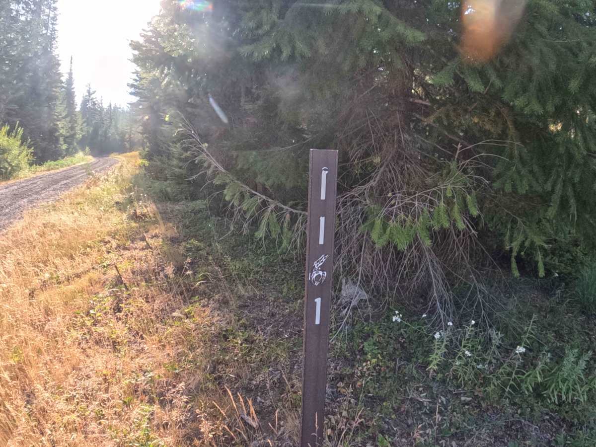 Trappers Butte - FS 1161 photo 5