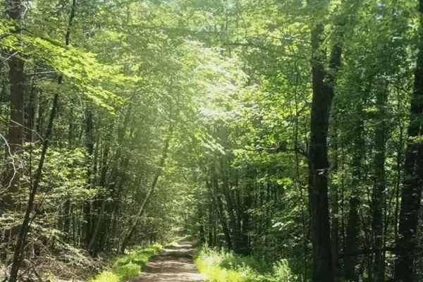 Beam Hill Road