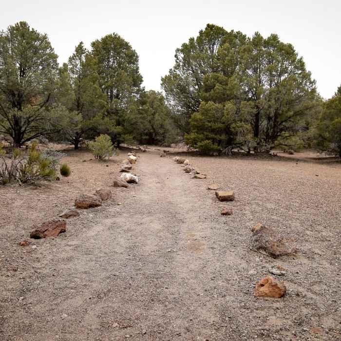 Near Hickison Petroglyph Recreation Area Interpretive Trail