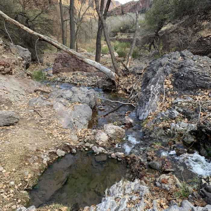 Smaller hot springs pool. Near Lower Eagle Creek