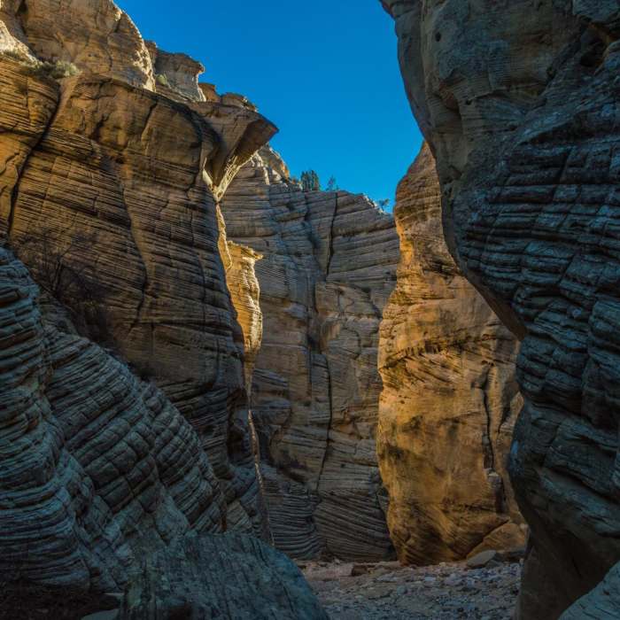 Near Lick Wash Hike Near Lick Wash Hike