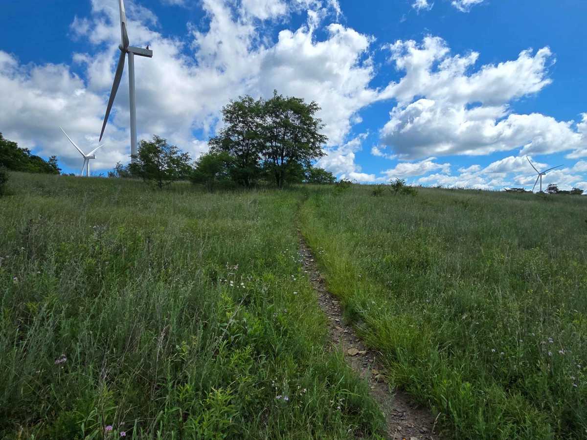 Single Track K photo 4