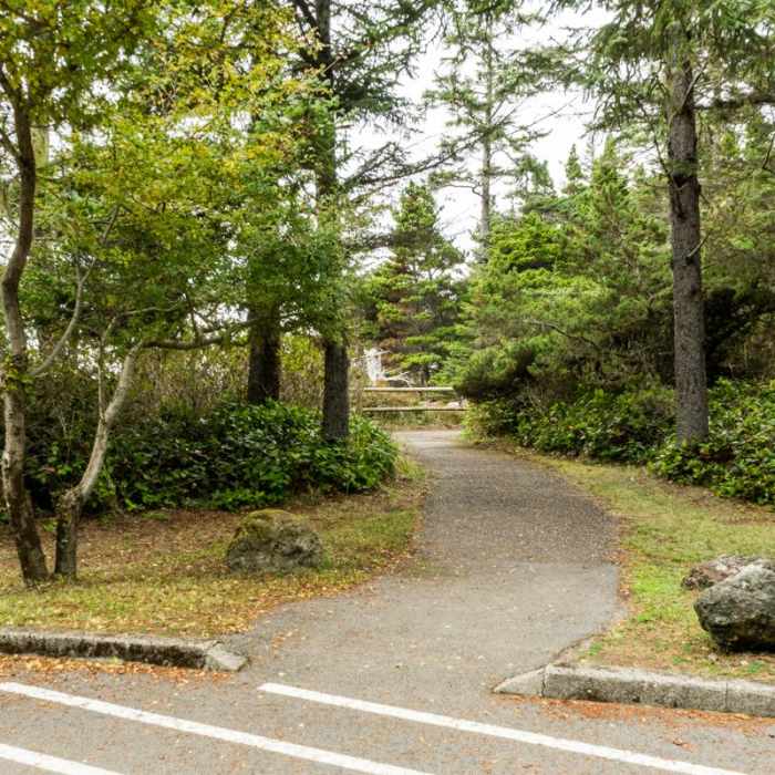 Near Shore Acres Loop Trail