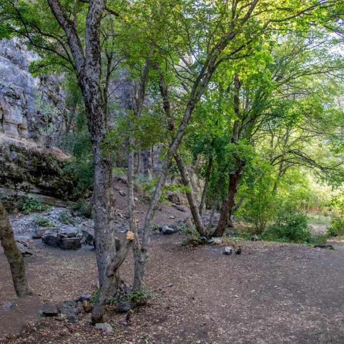 Near Hobbit Caves and Right Hand Fork Waterfall