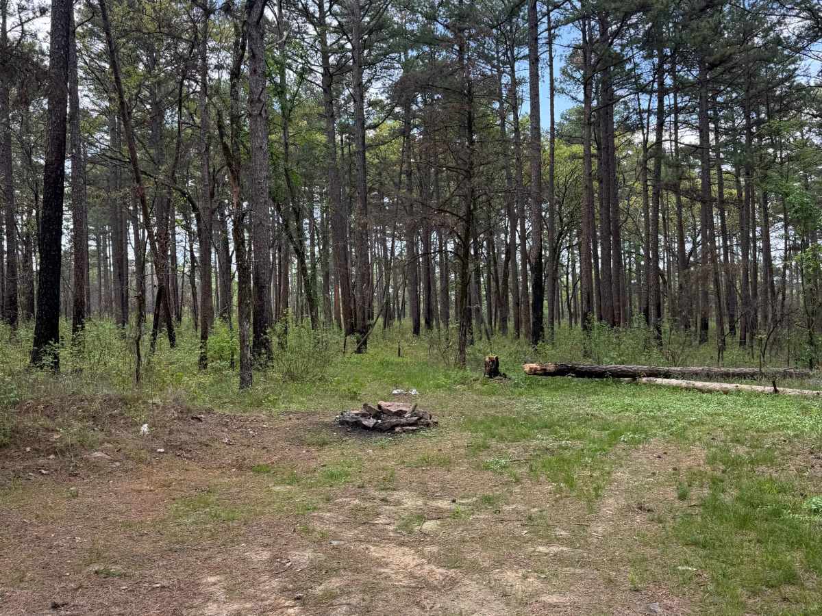Hillside Holler photo 3