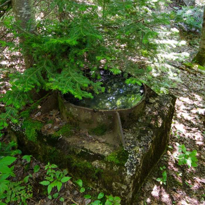 Near Cobble Hill Near Cobble Hill