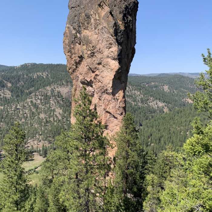 Near Steins Pillar Trail