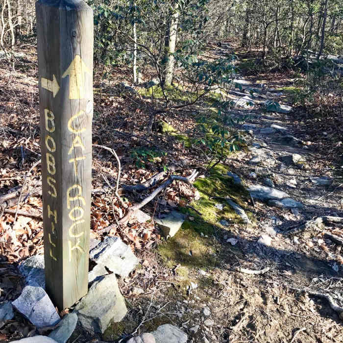 Near Cat Rock Mountain via Old Misery Trail