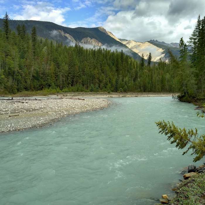 Near Thompson Falls Trail