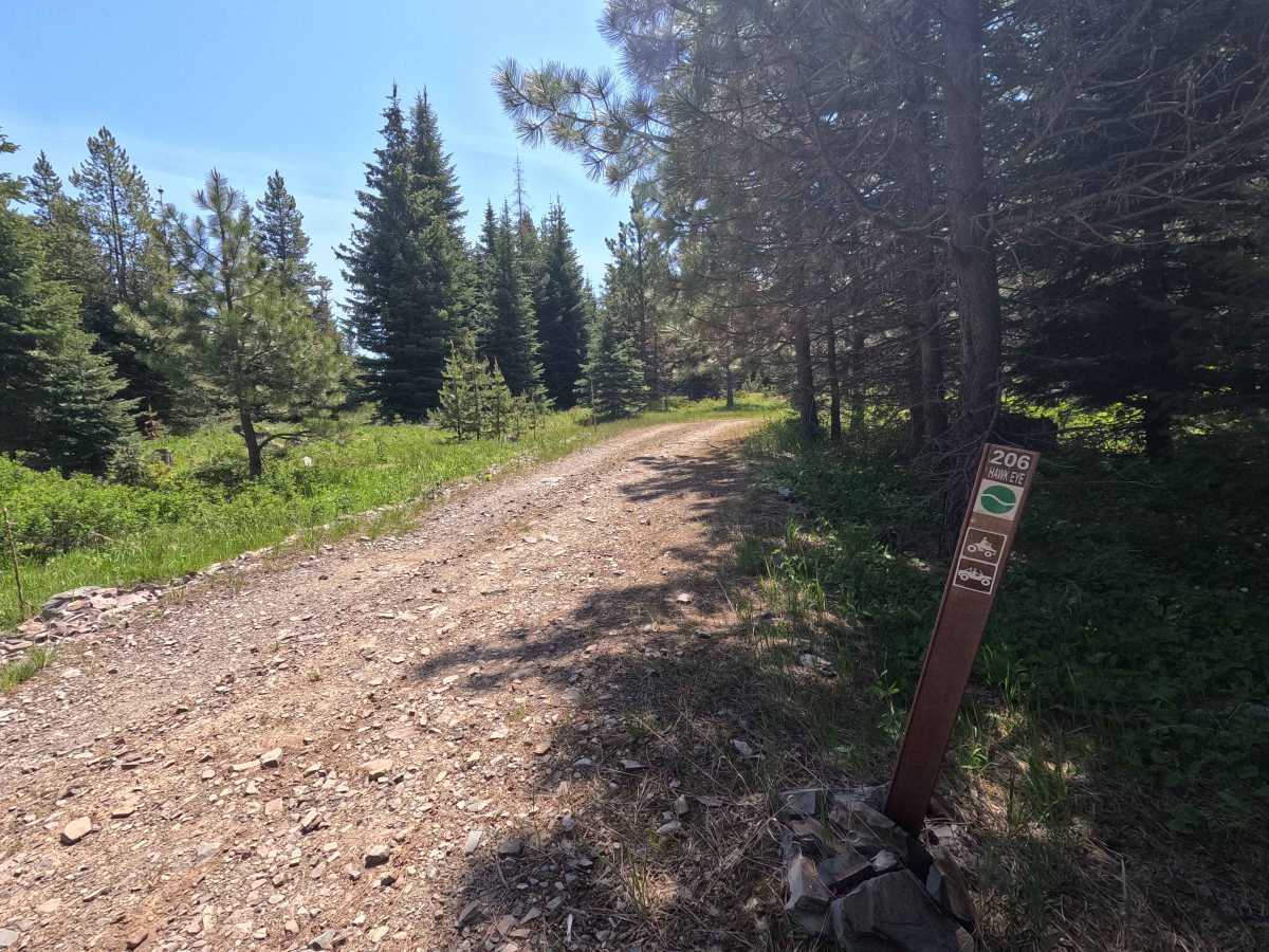 Hawk Eye - Trail 206 photo 2