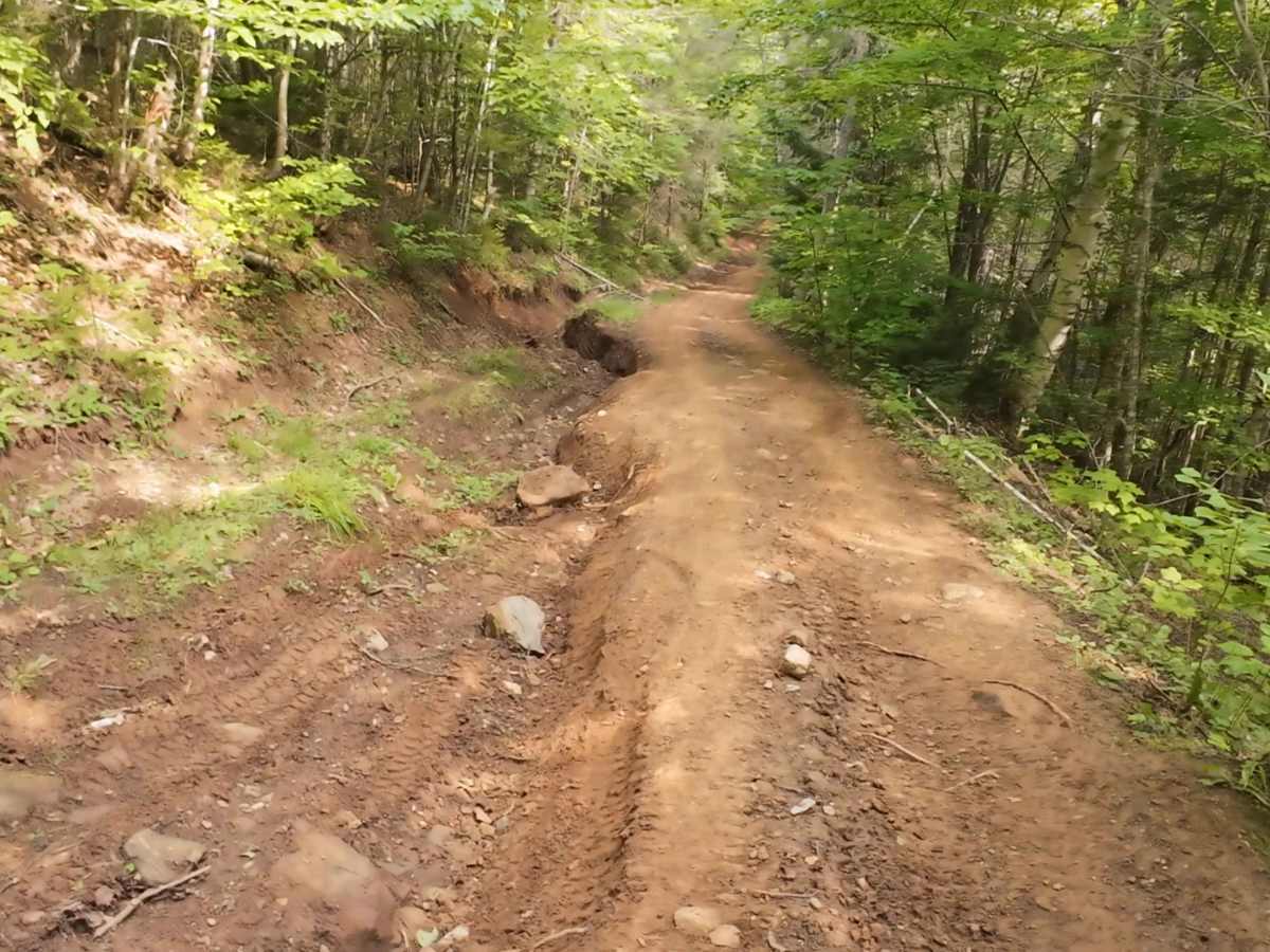 Sweet Mountain trail photo