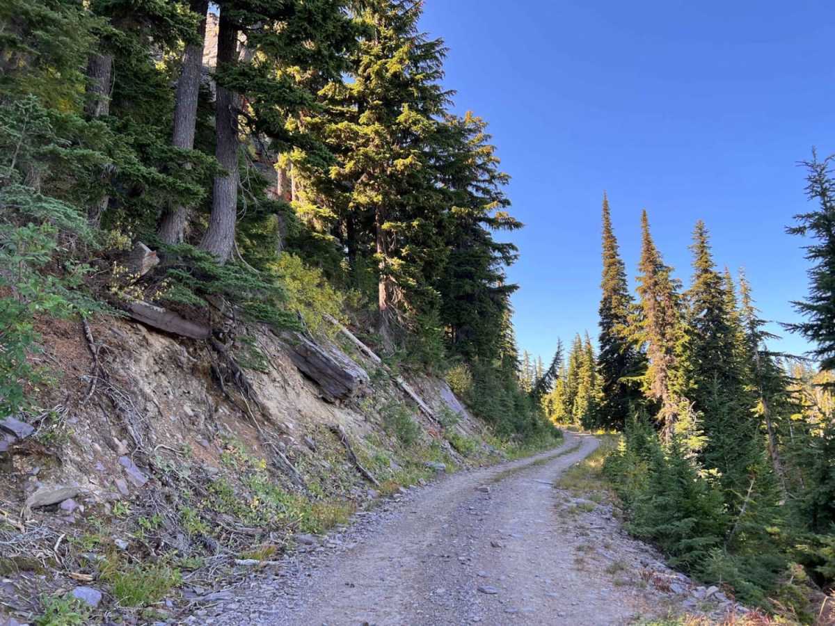 Pilgrim Creek Trail photo 6