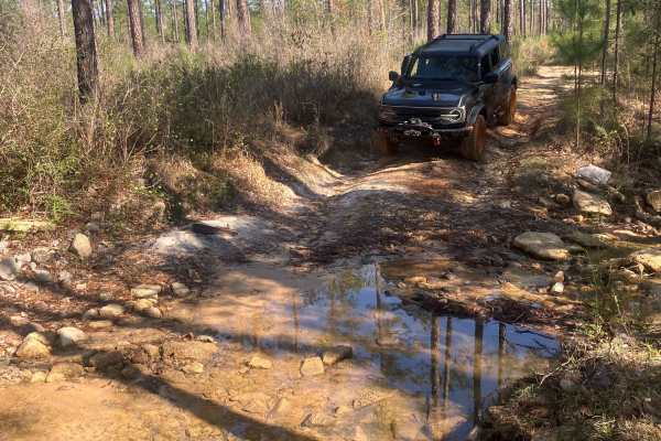 Blue Trail W23