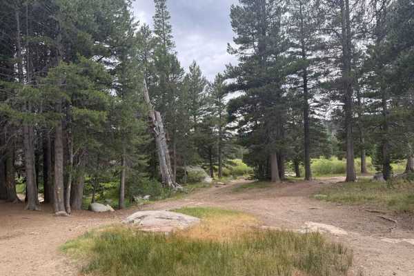 Hope Valley Campground North - FS 31081