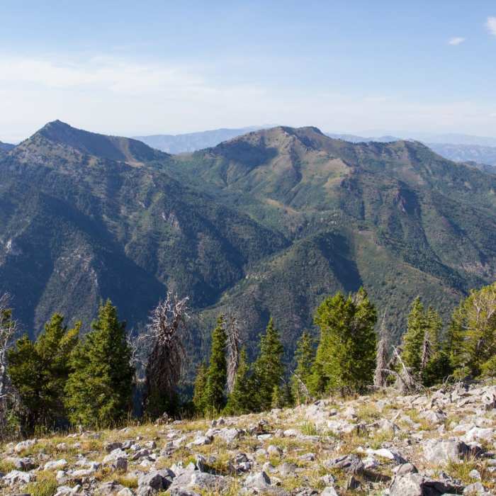 Near Kessler Peak Hike via the North Route Near Kessler Peak Hike via the North Route