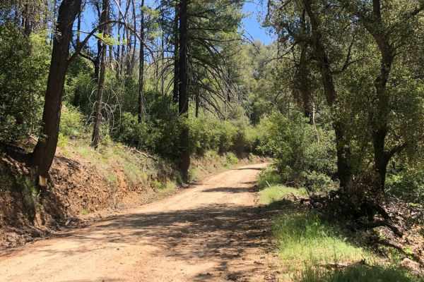 Nate Harrison Grade