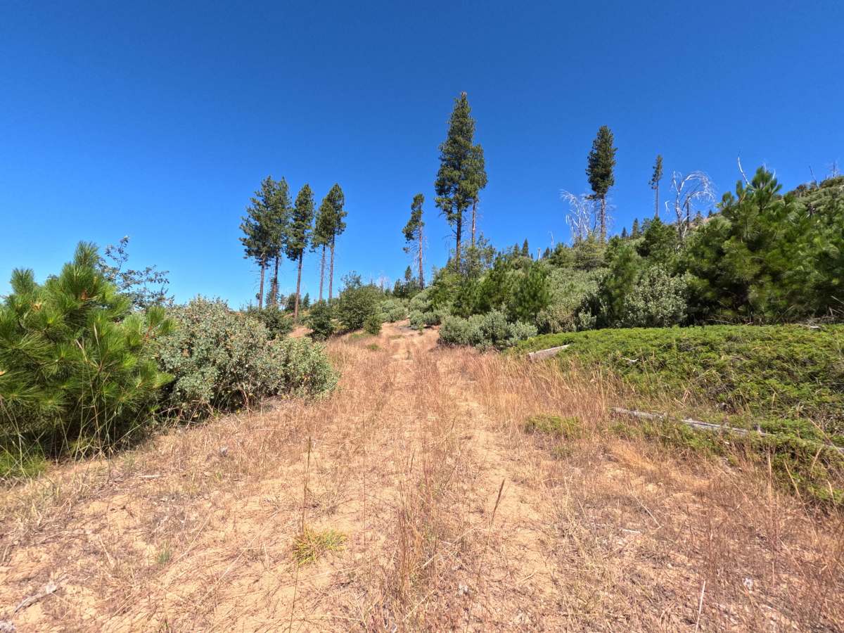 FS 1S41A photo 3