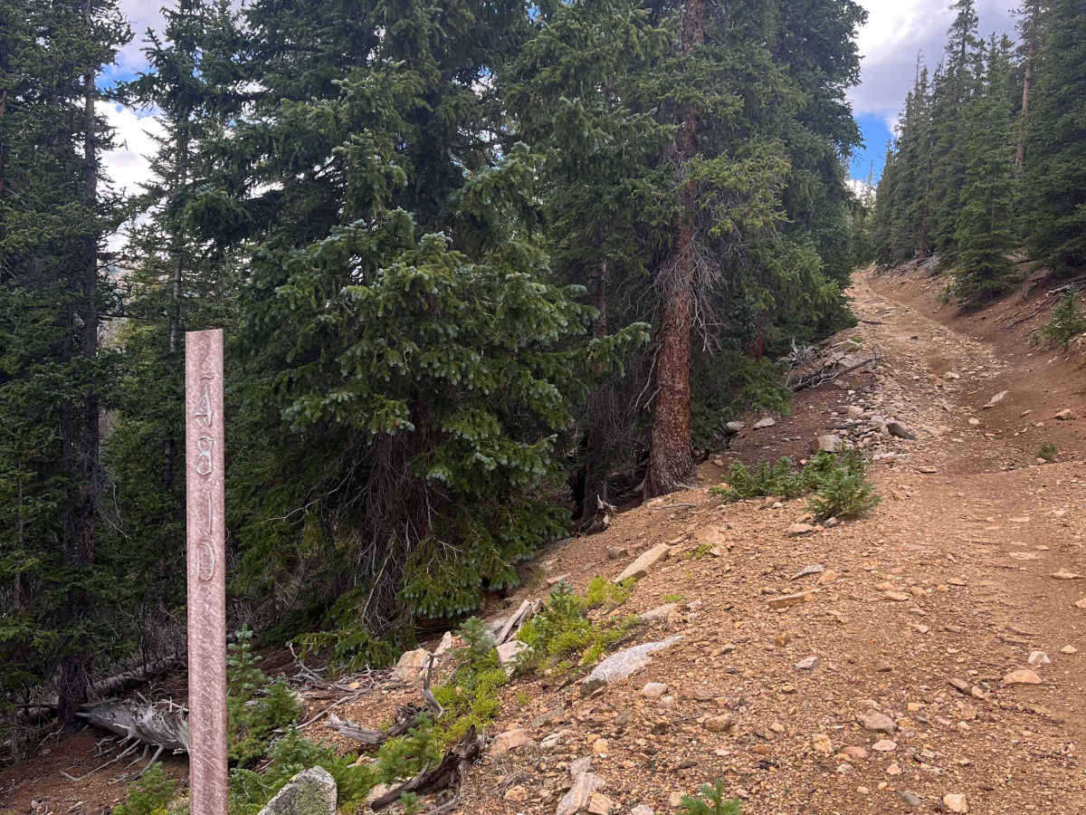 Pains Mountain Road trail photo