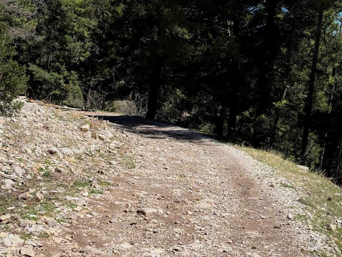 Old Sunspot Highway - FS 5009  photo 3