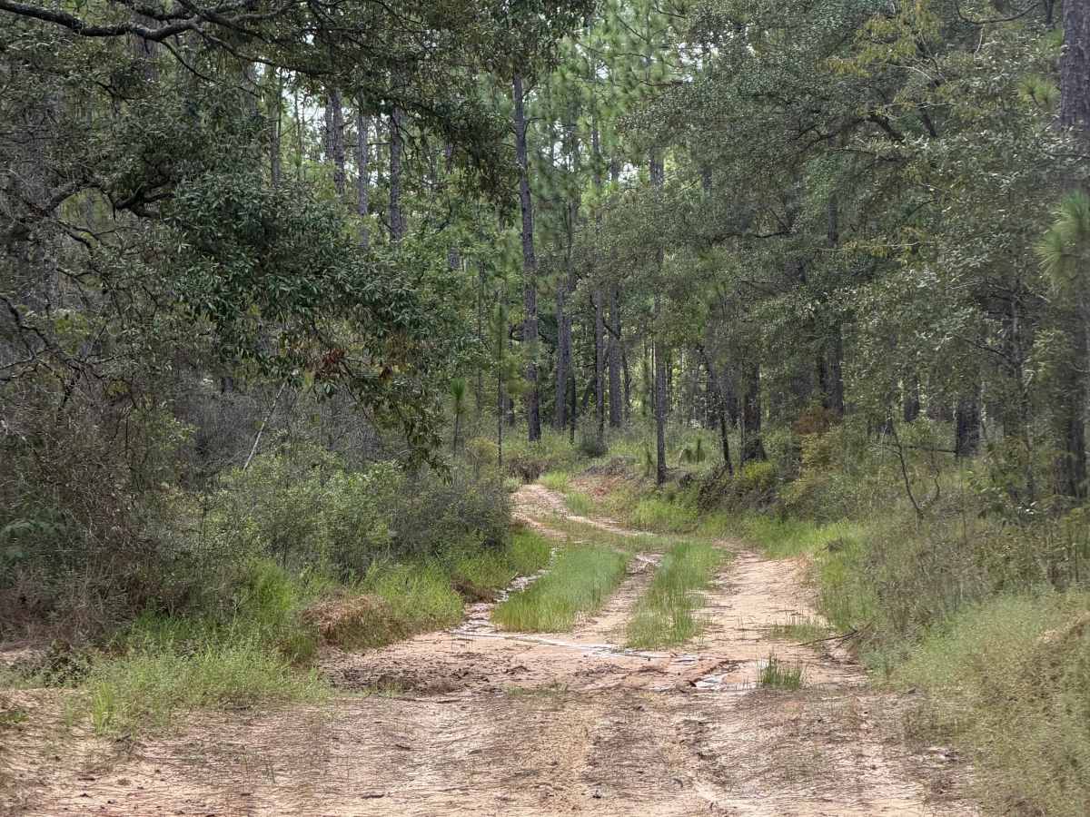 Blackwater River R74 photo 4