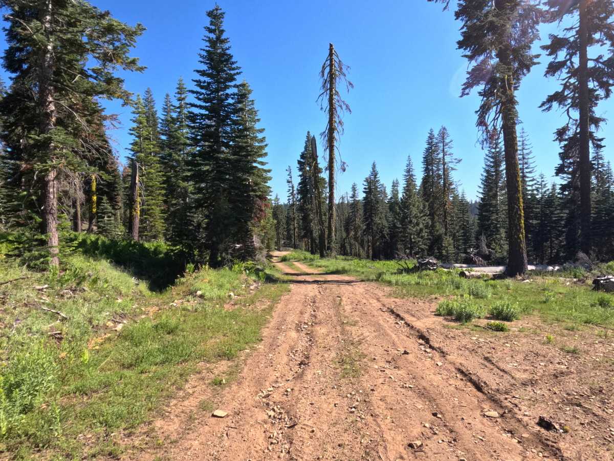 Silver Meadow - FS 11N37G photo 6