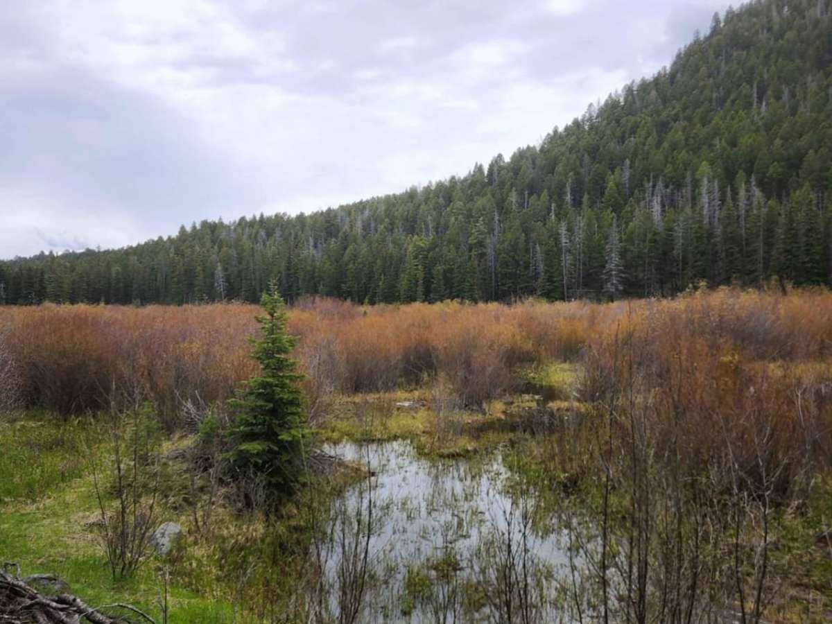 Lava Mountain Loop photo 6