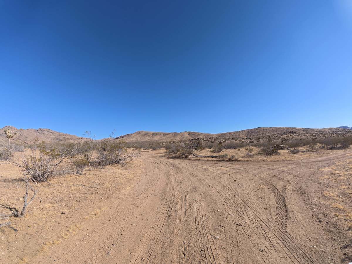 BLM SV2627 photo 2