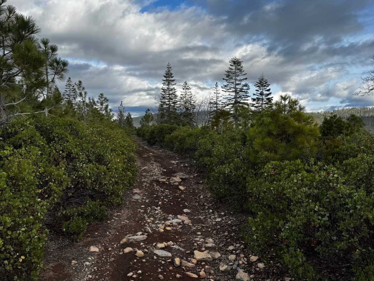 Macedon Plantation Spur (Bypass) photo 4