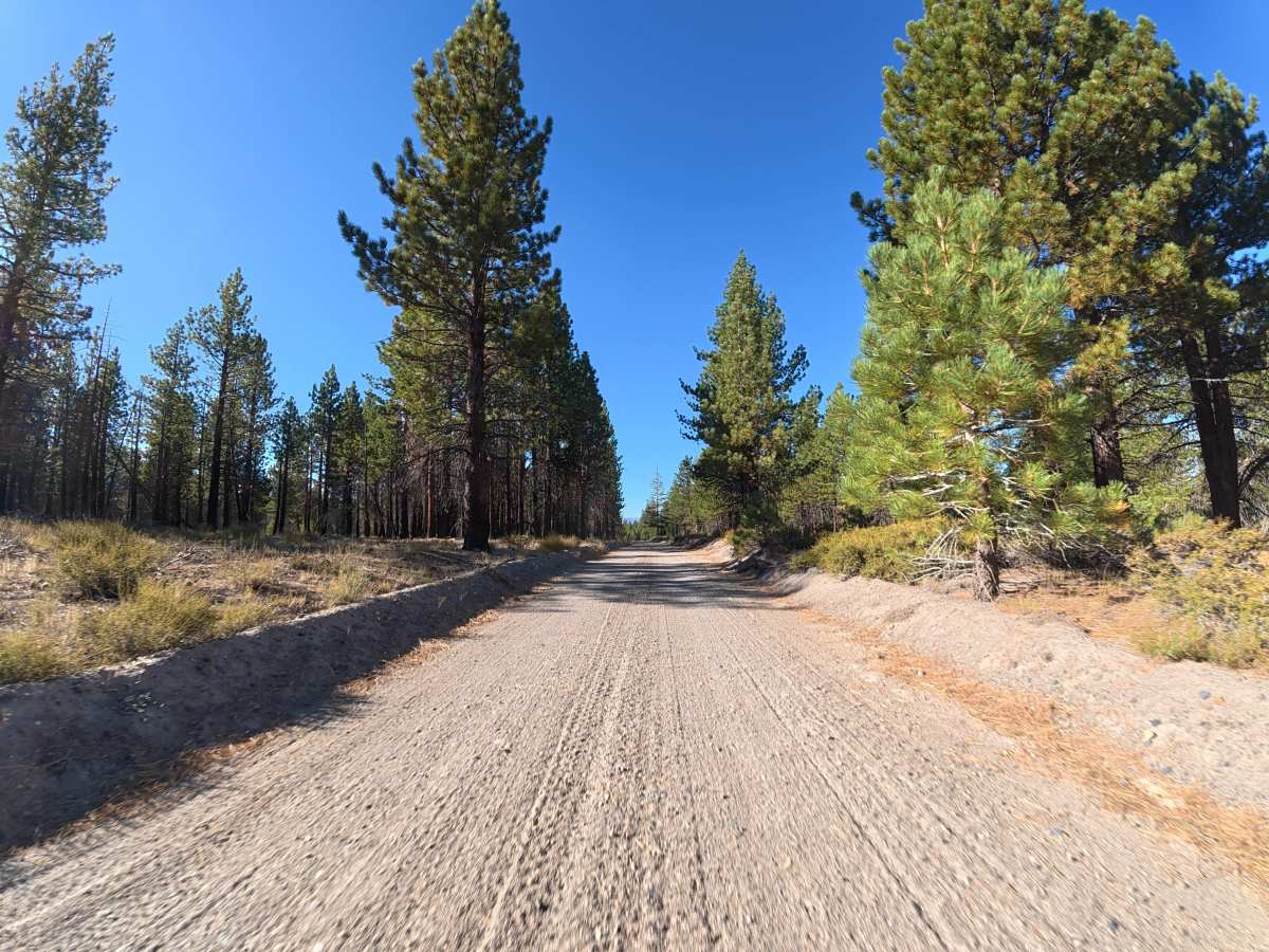 Logging Camp Road photo 2