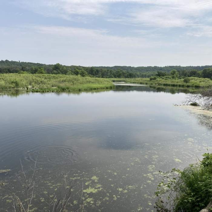 Near Willow Falls Trail