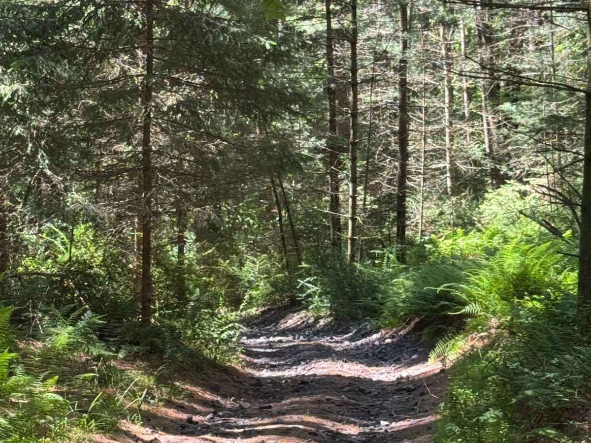 Lehigh Loop photo 3